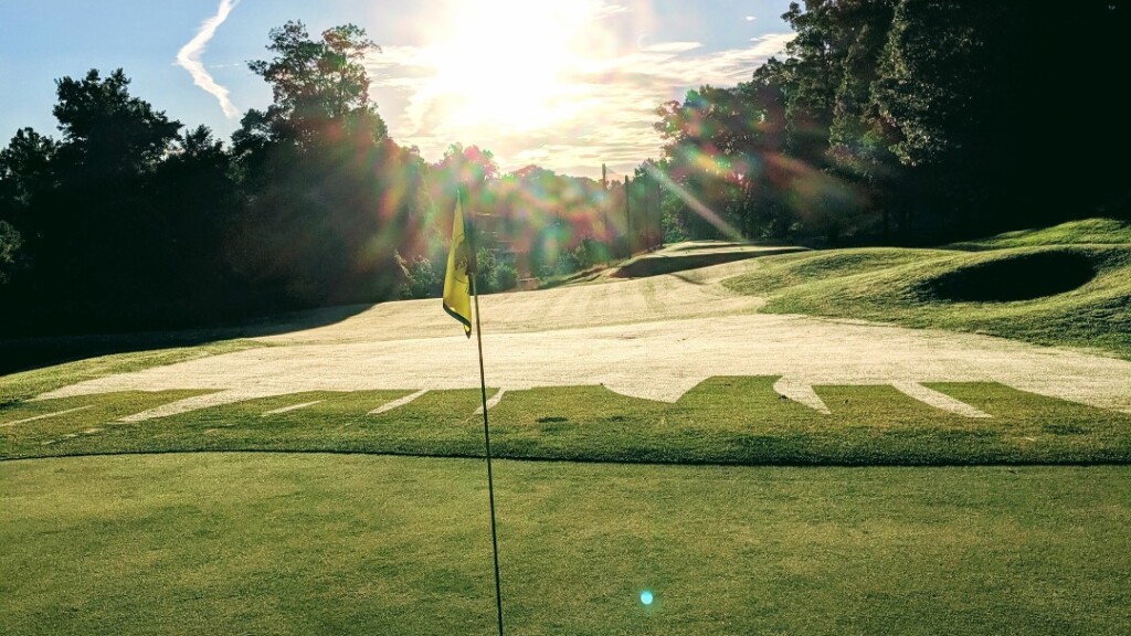 Flag on golf course